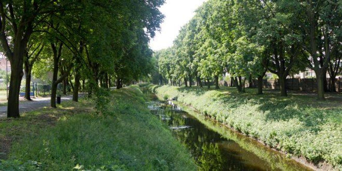 Czy do Wrześnicy trafiają ścieki?