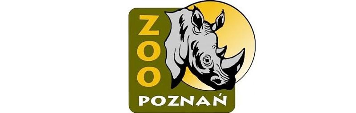 Do ZOO by się szło!