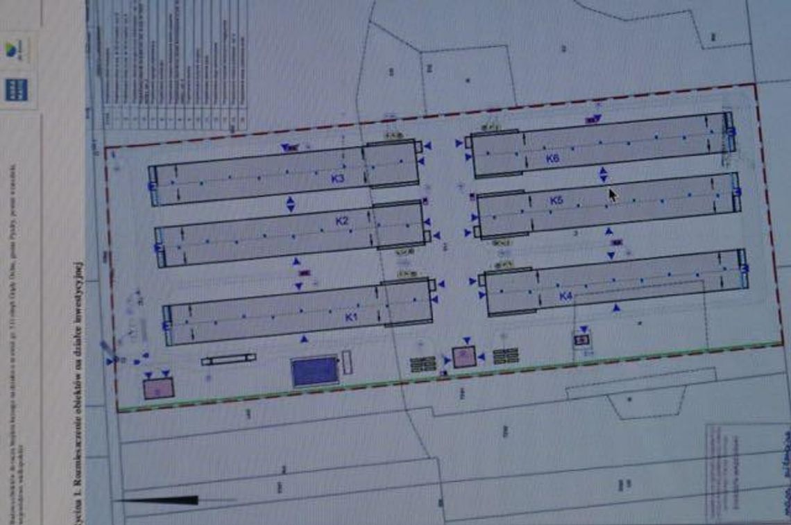 Dolne Grądy niczym drugi Kawęczyn. Jest plan budowy megakurników