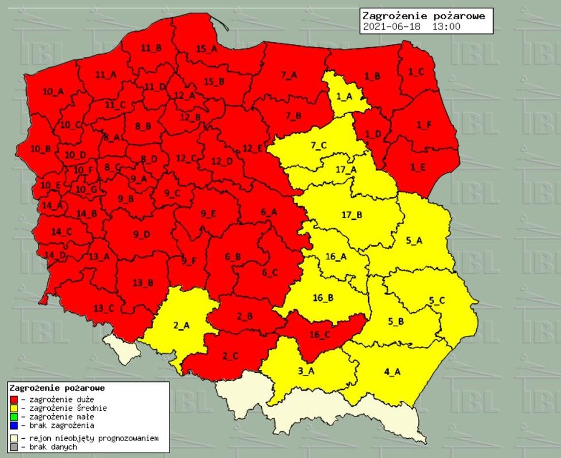 Duże zagrożenie pożarowe w lasach. Leśnicy ostrzegają