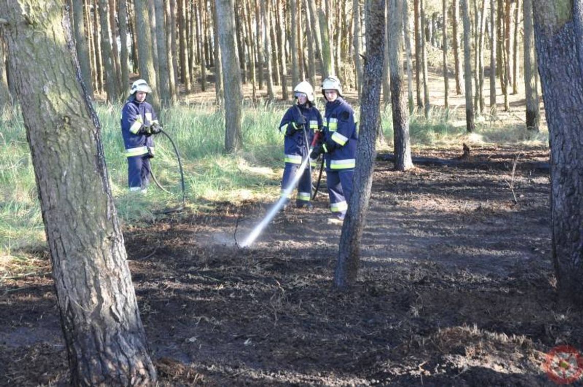 Dwa pożary we wsi. Piroman? (galeria/video)