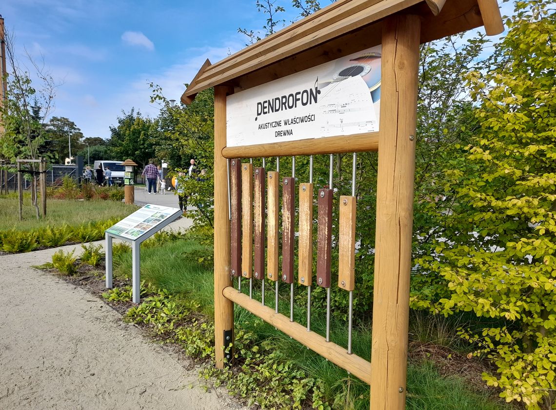 "Dzieci mogą się tu wiele nauczyć". We Wrześni powstał nowy park