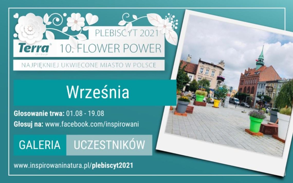 Flower Power 2021: zagłosuj na Wrześnie!