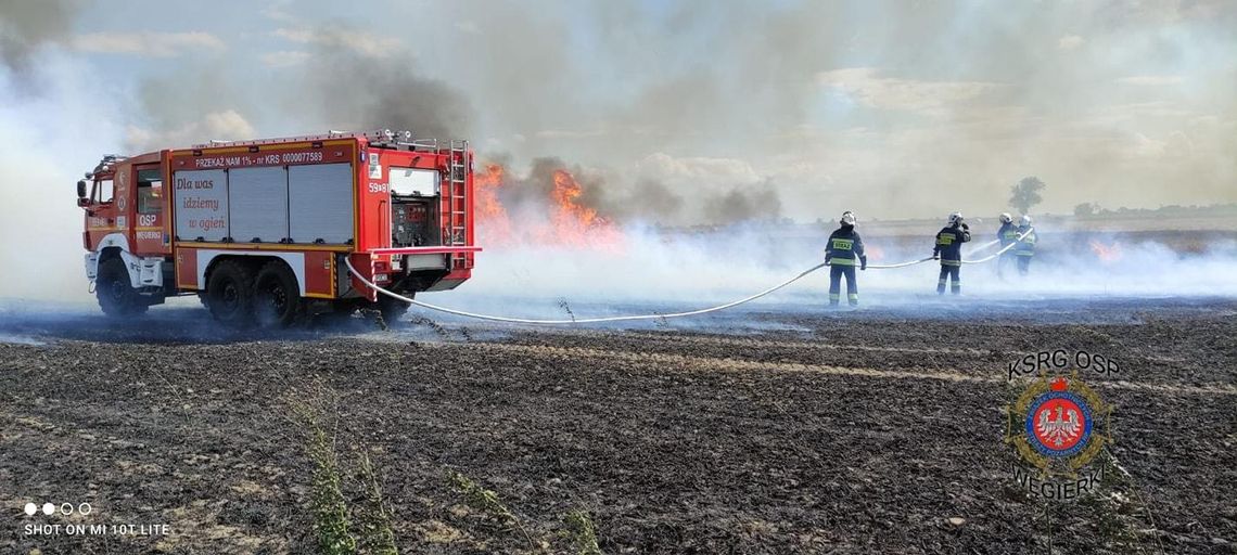 Kolejne pożary na polach w gminie Września