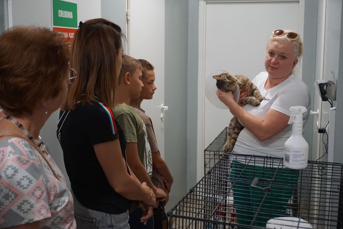 Komplet w schronisku. Brakuje miejsc dla porzuconych zwierząt