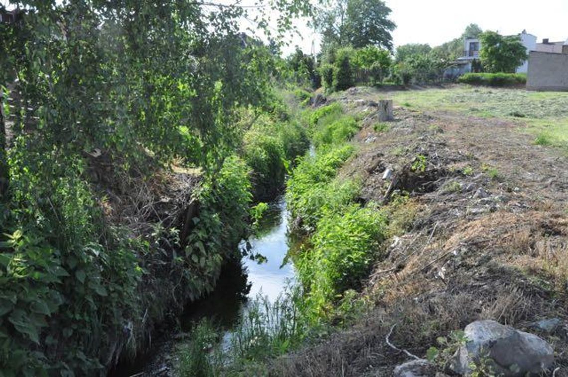 Koparki na cieku? Być może wjadą jeszcze w tym roku