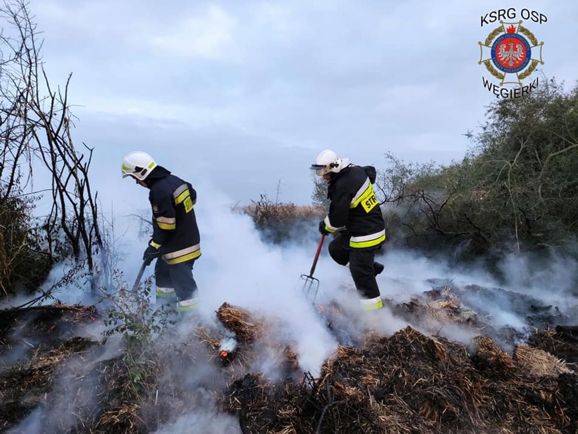 Ktoś podpalił trawę w Grzybowie