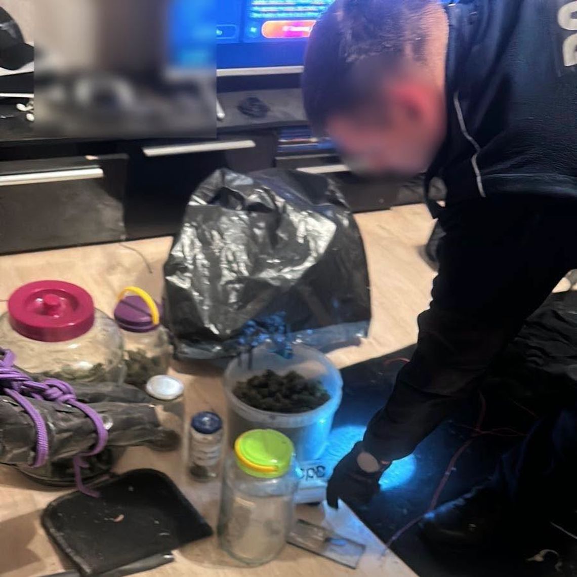 Marihuana w wiaderkach i zamrażarce. Dzielnicowi zatrzymali 37-latka w Gnieźnie Marihuana w wiaderkach i zamrażarce. Dzielnicowi zatrzymali 37-latka w Gnieźnie
