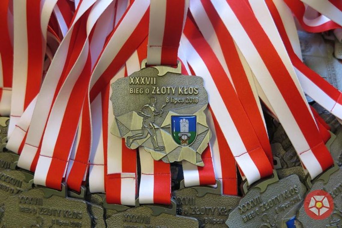 Medal w kształcie granic Polski