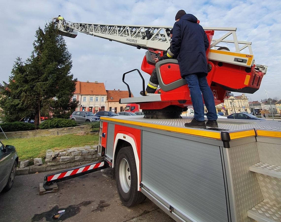 Miłosławska choinka na miłosławskim rynku