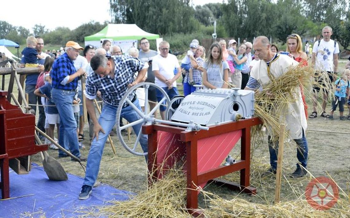 "Od ziarenka do bochenka", czyli jak to drzewiej bywało (video)