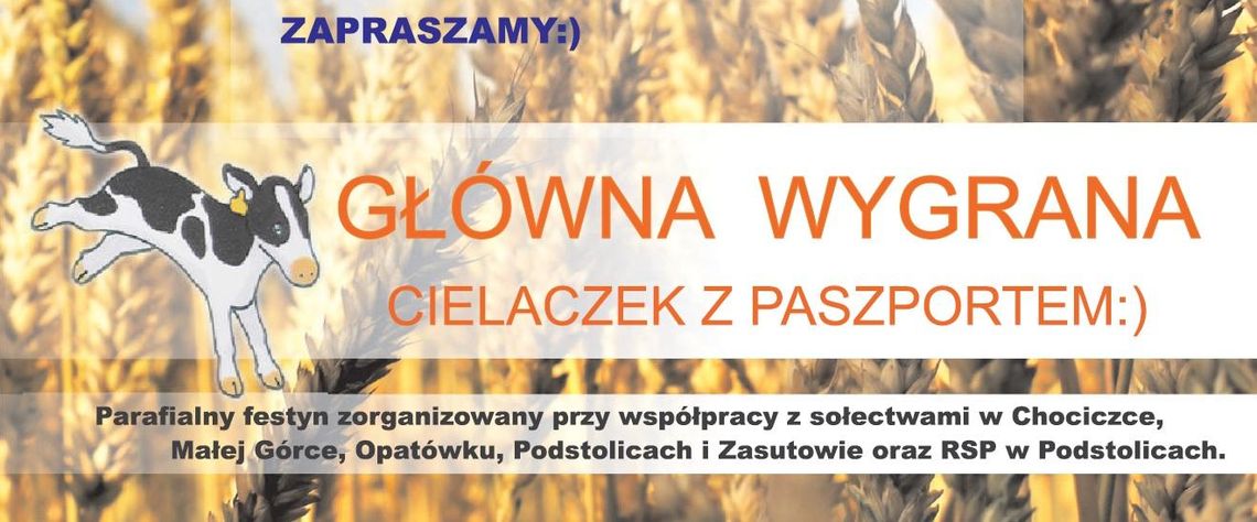 Parafialne dożynki z cielaczkiem