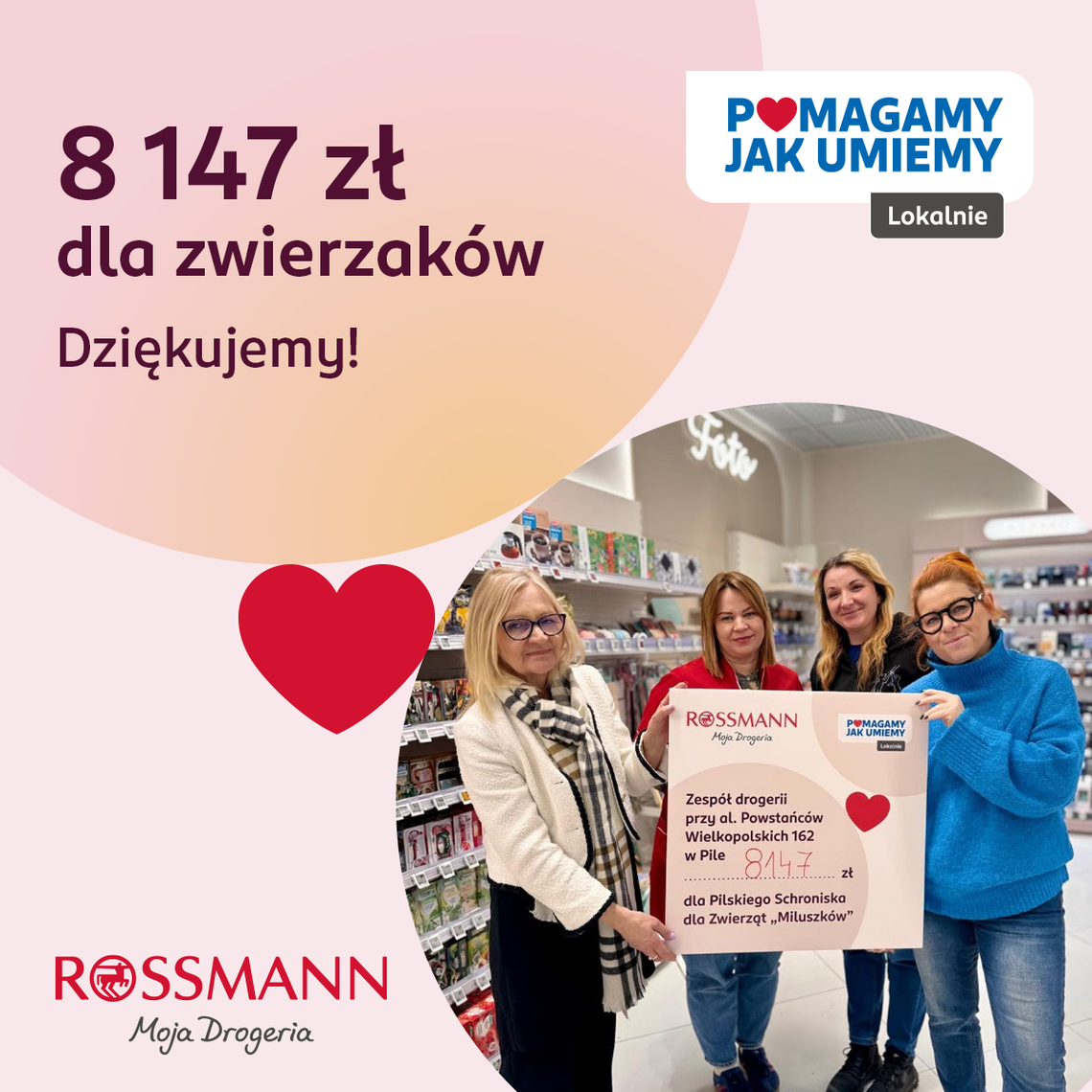 Pomagamy jak umiemy w Pile: ponad 8 tysięcy złotych dla zwierzaków