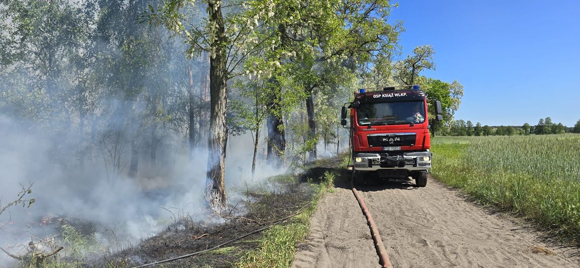 wóz strażacki na leśnej drodze i pożar lasu