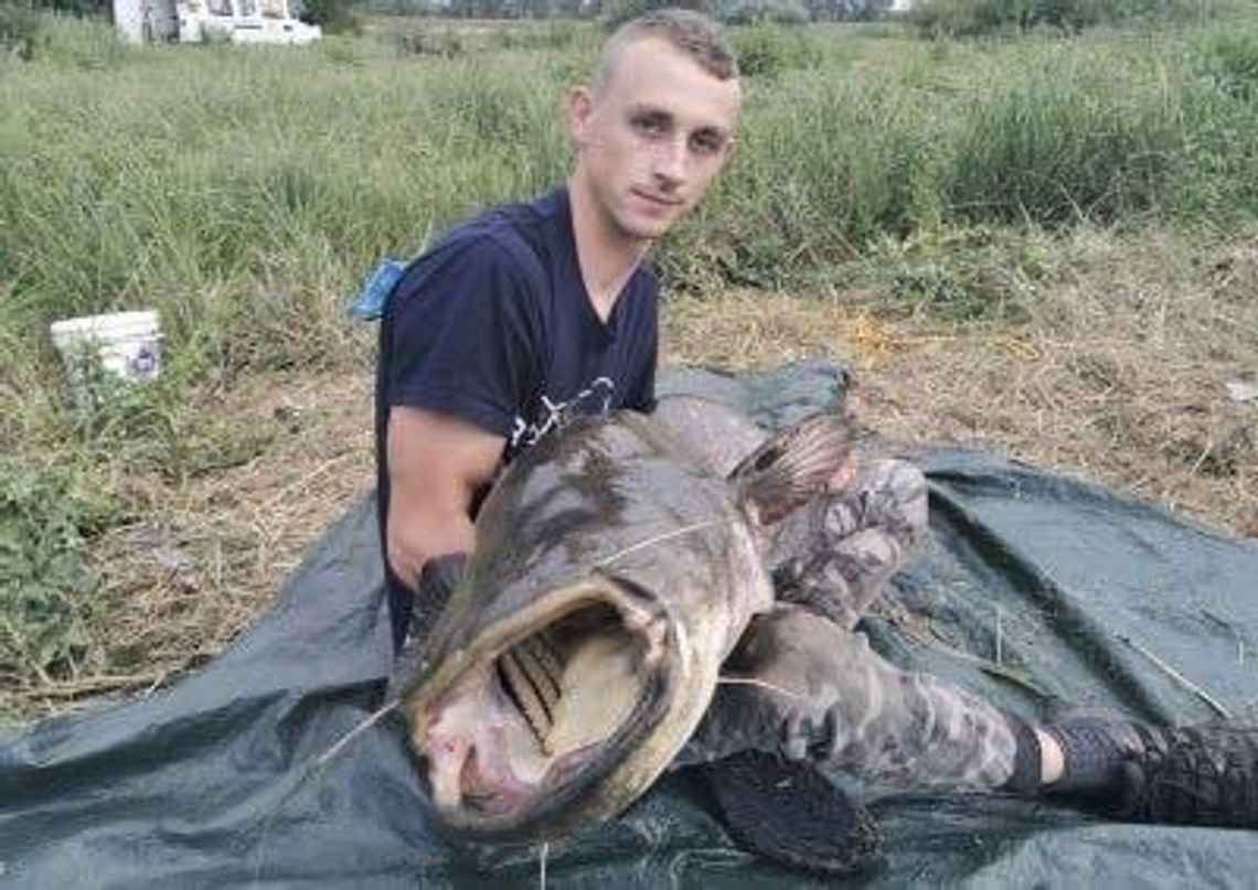 Prawie 50 kilogramów na haczyku. To się nazywa ryba! (video)