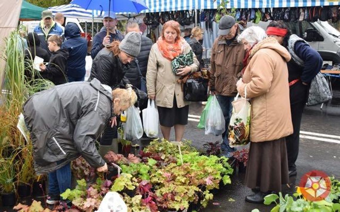 Przed nami największe targi w regionie. Zapisu już ruszyły