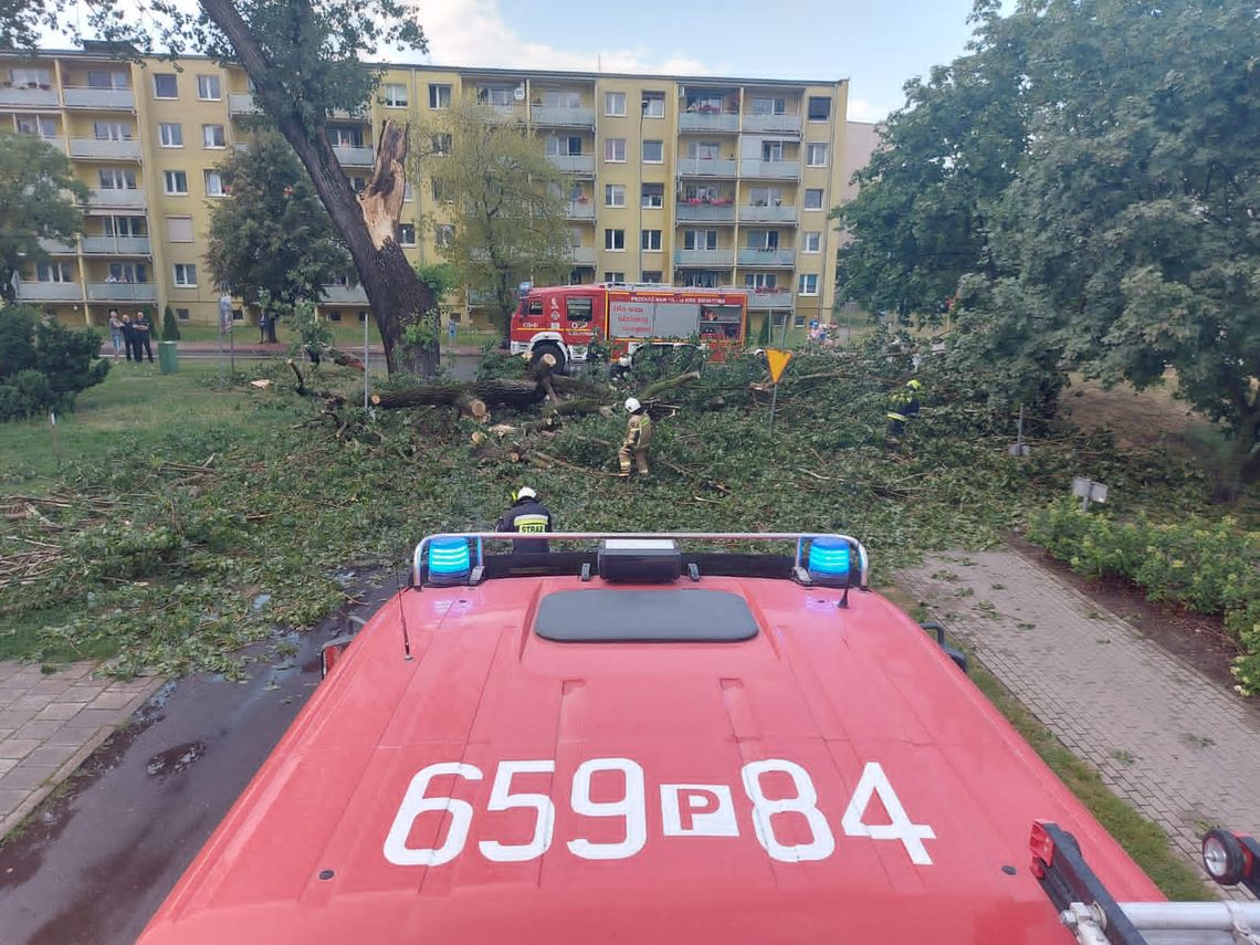 Przewrócone drzewo, zamknięte ulice. Pogodowy armagedon we Wrześni