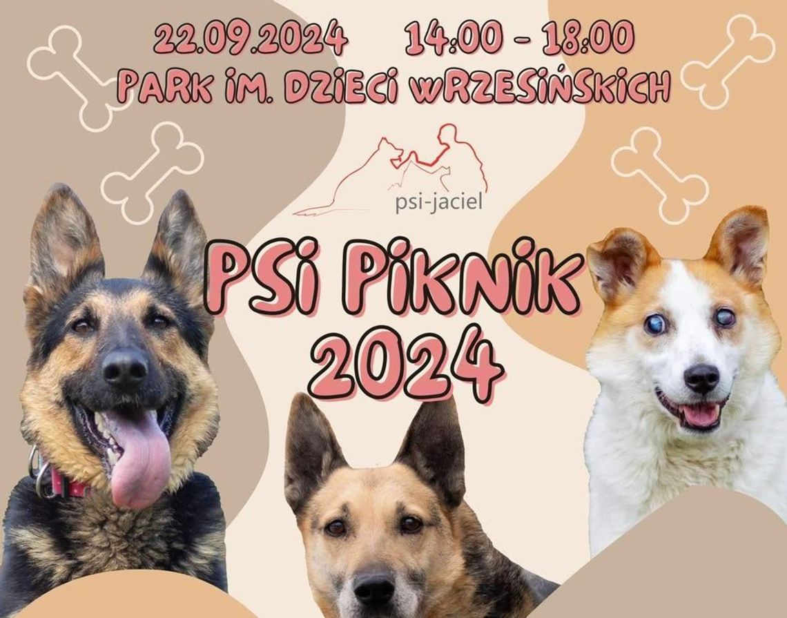 Psi Piknik znów we Wrześni. Można pomóc i dobrze się bawić