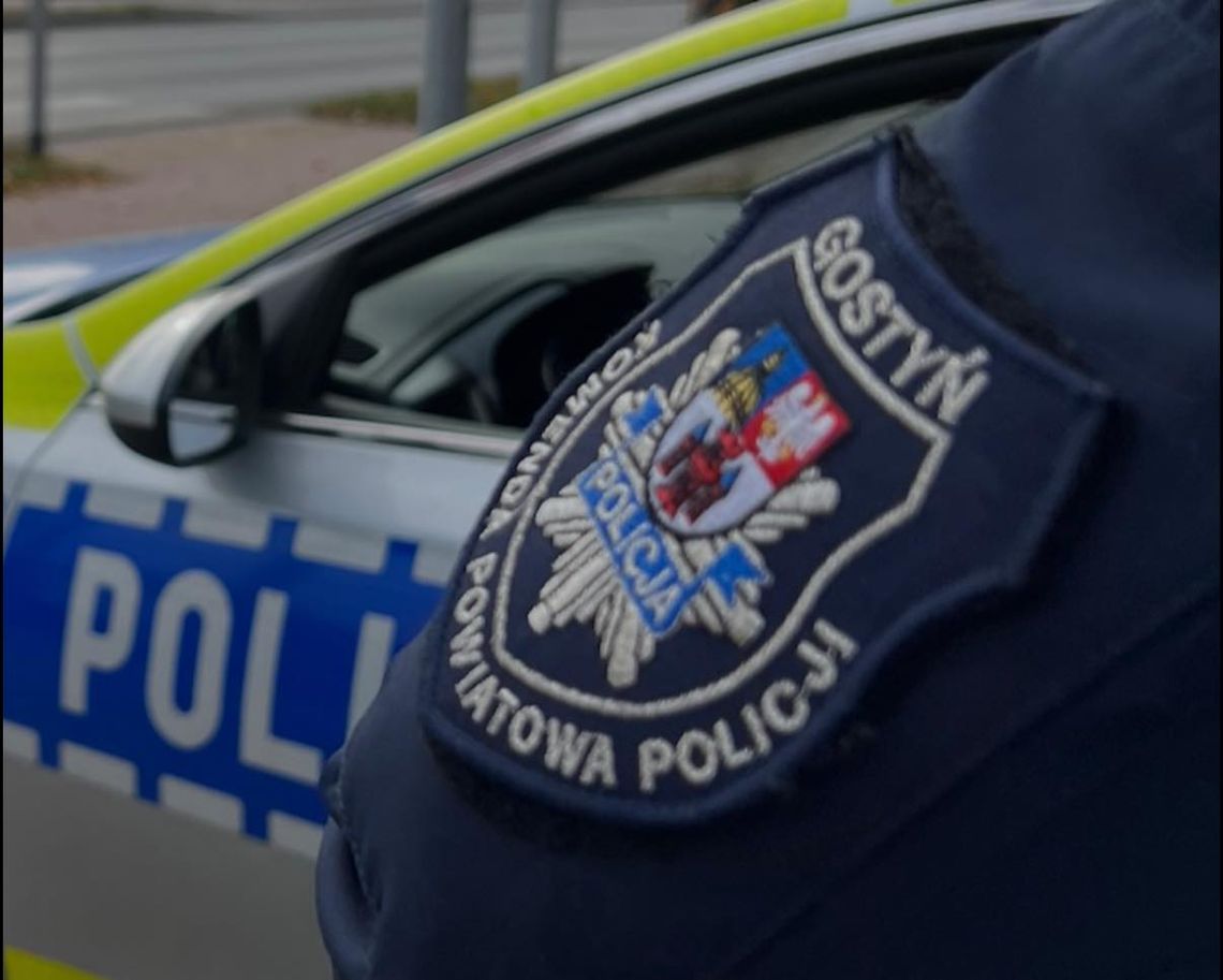 Psy zagryzły kota w gminie Gostyń. Właściciel ukarany mandatem