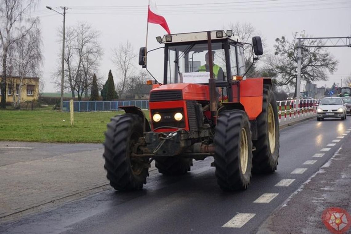 Radiowe SOS: Na celowniku koty i rolnicy