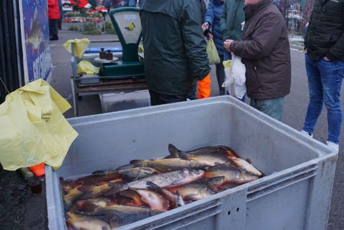 Radiowe SOS: Skandal na targowisku. Handel żywą rybą poza kontrolą