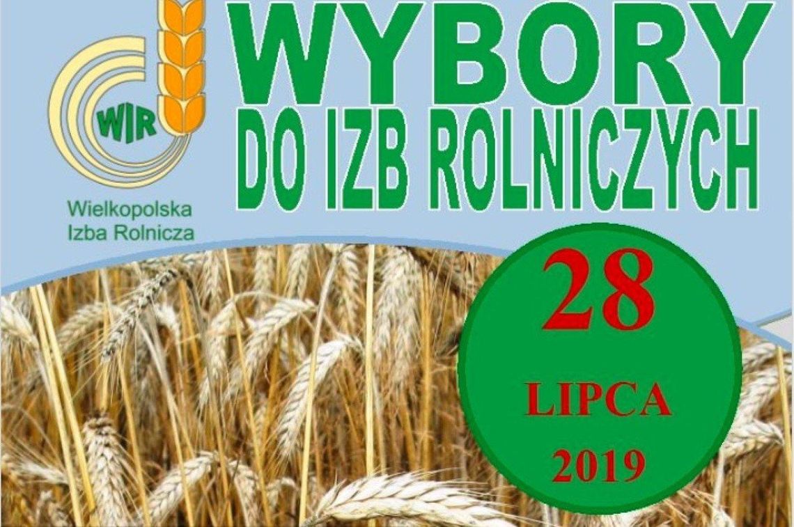 Sądny dzień dla 10 kandydatów. Mandatów jest tylko 6