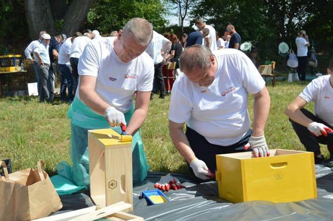 Samorządowcy zbudowali ule. Powstanie z nich pasieka (galeria)