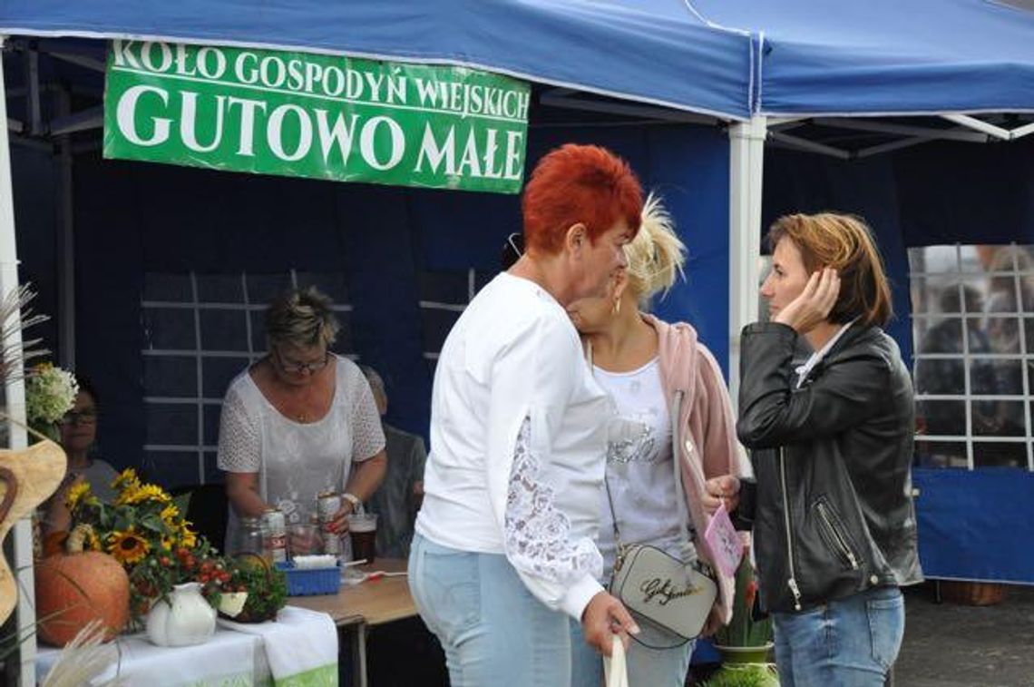 Sędziwojewo jednodniową stolicą Pyrlandii (galeria)