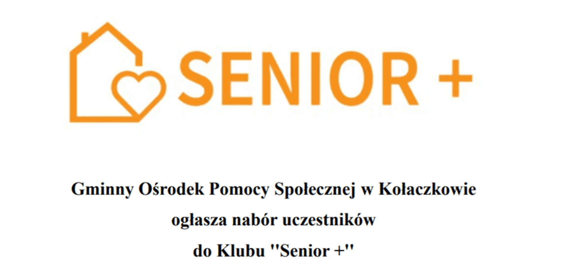 Seniorzy poszukiwani