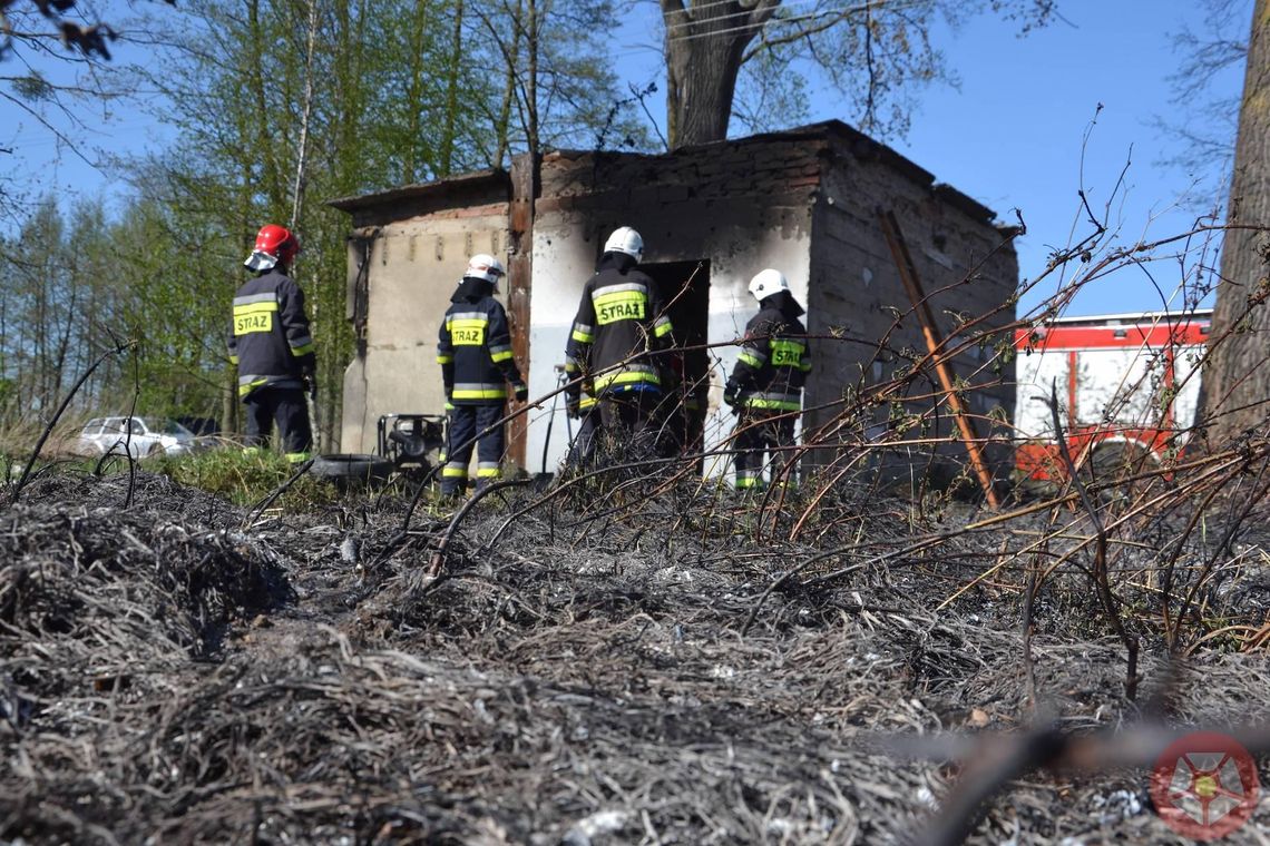 Sezon na pożary traw rozpoczęty (galeria)