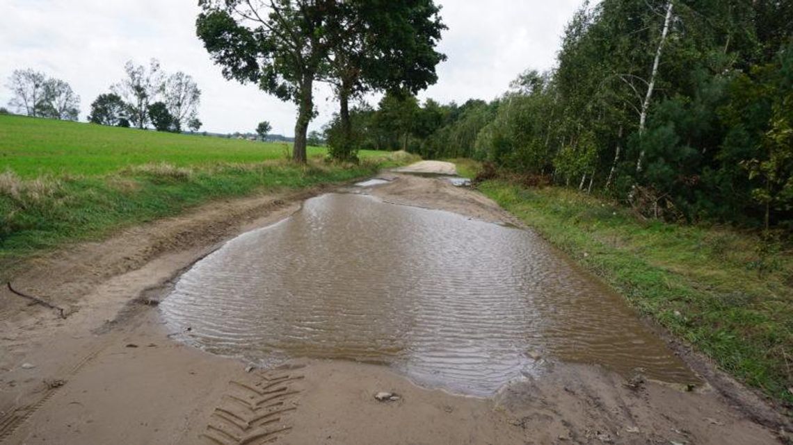 Starostwo: naprawimy drogę w Bardzie