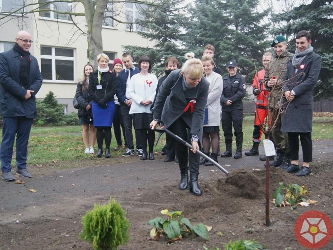 Święto Niepodległości w ZSTiO (galeria/wideo)