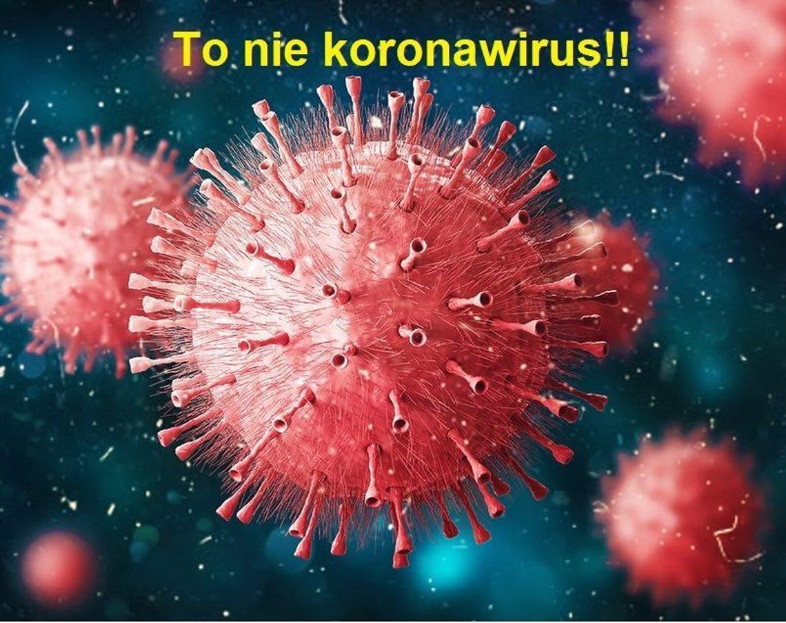 To nie koronawirus SARS-CoV-2!