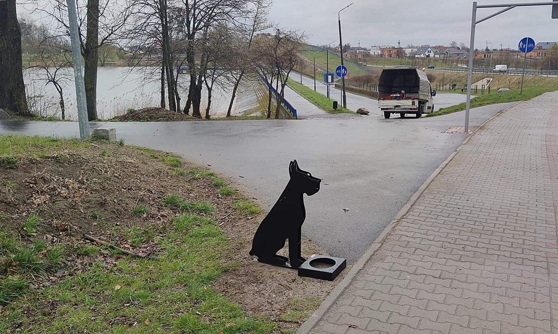 Trzy poidełka dla psów już stoją w Środzie Wlkp.