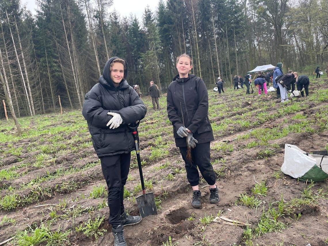 Uczniowie z ZSP we Wrześni zasadzili las na Dębinie