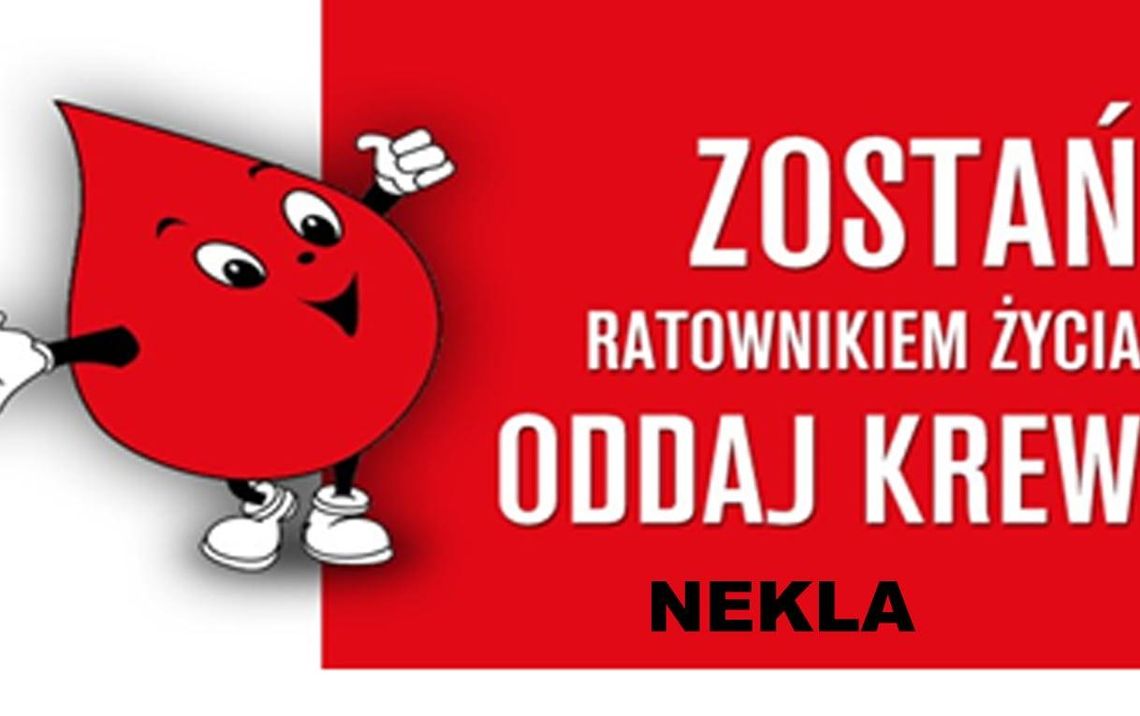 W Nekli będzie można oddać krew