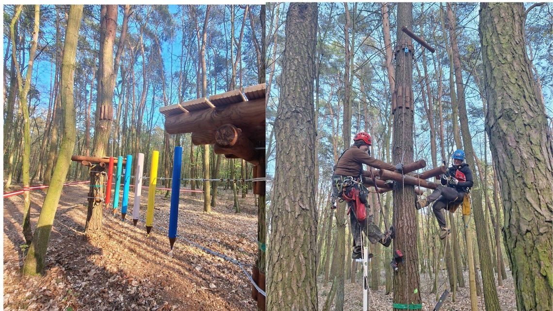 W Słupcy powstaje park linowy. Kiedy otwarcie?