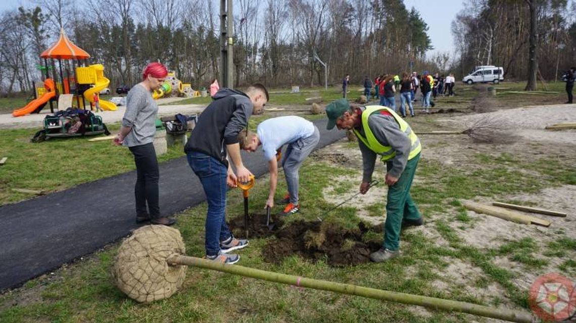 Września coraz bardziej zielona (galeria, wideo)