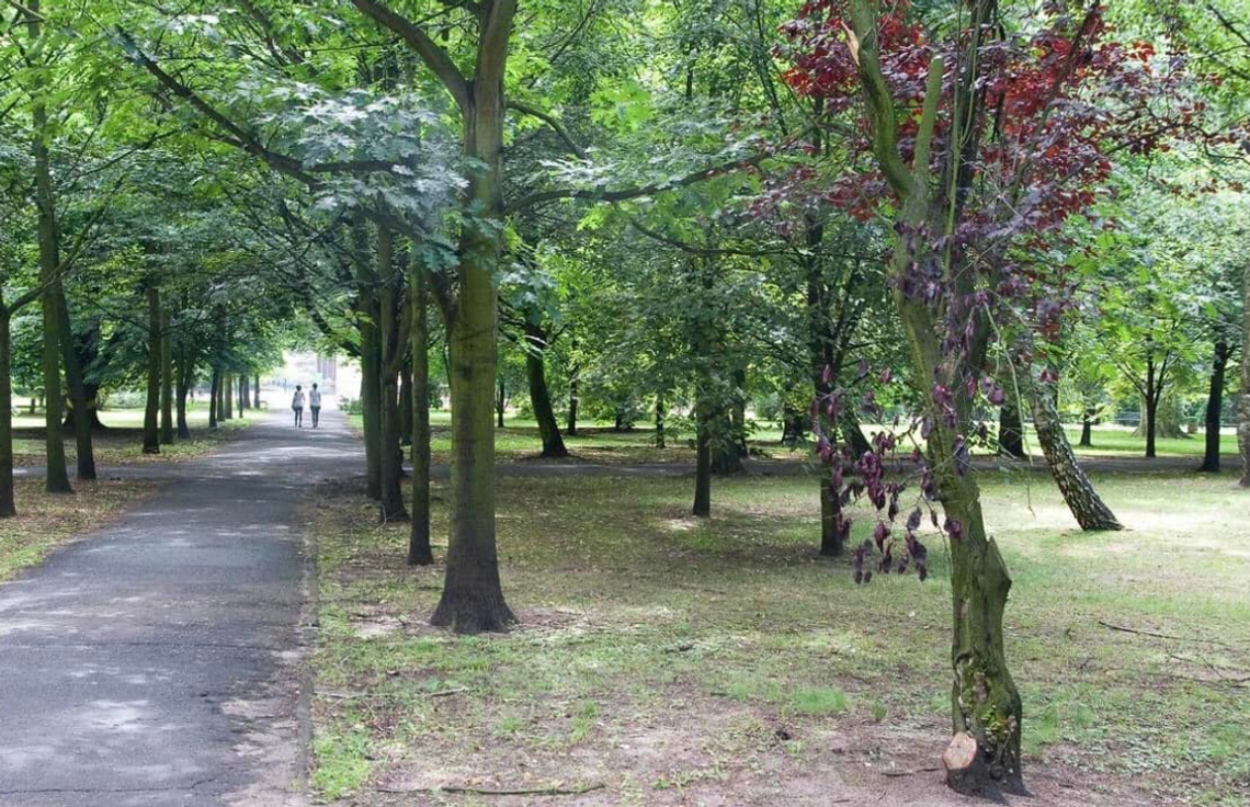 Września odnawia tereny rekreacyjne. Park i skwer czekają wielkie zmiany