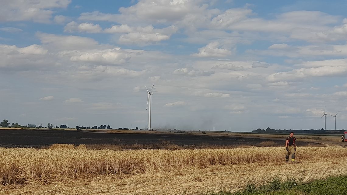 Zboża płoną jak pochodnie. Lipiec okazał się tragiczny dla rolników