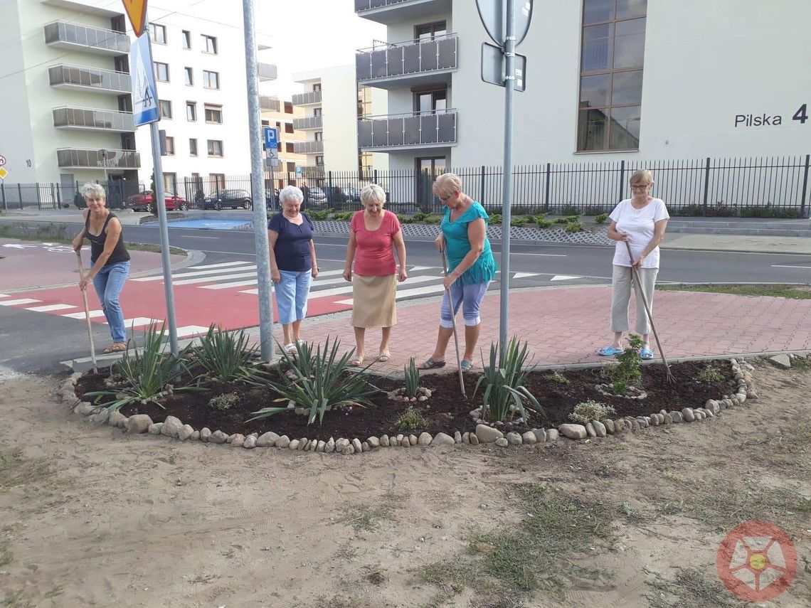 Zielona inicjatywa mieszkańców