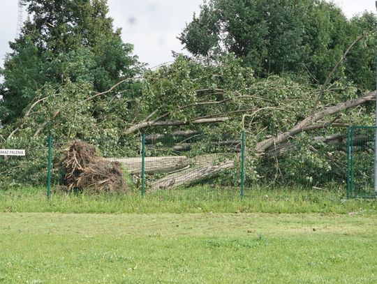 burza-12-08-2017-23