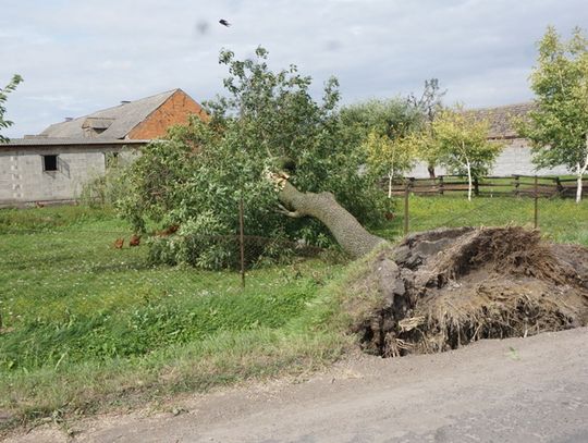 palczyn-12-08-2017-27