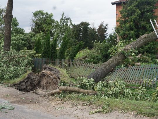 palczyn-12-08-2017-29