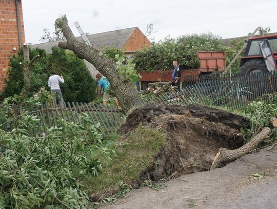 palczyn-12-08-2017-32