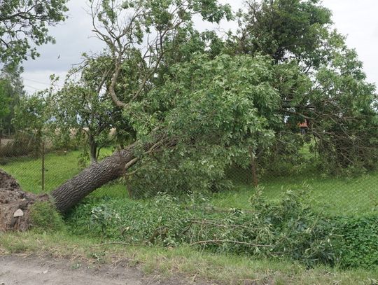 palczyn-12-08-2017-33