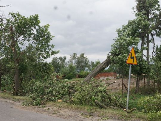 palczyn-12-08-2017-34