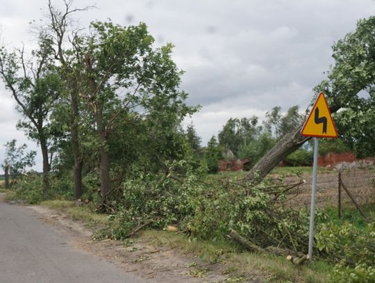 palczyn-12-08-2017-35