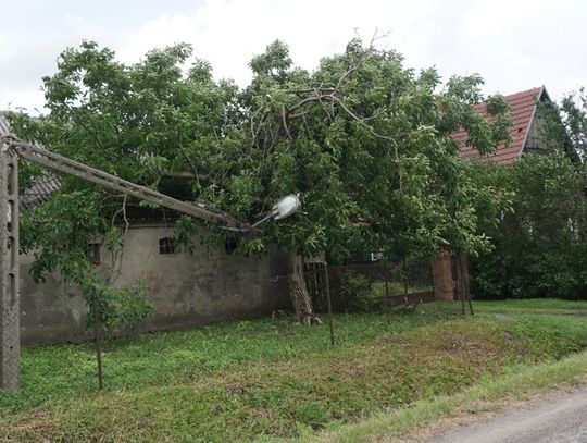 palczyn-12-08-2017-36