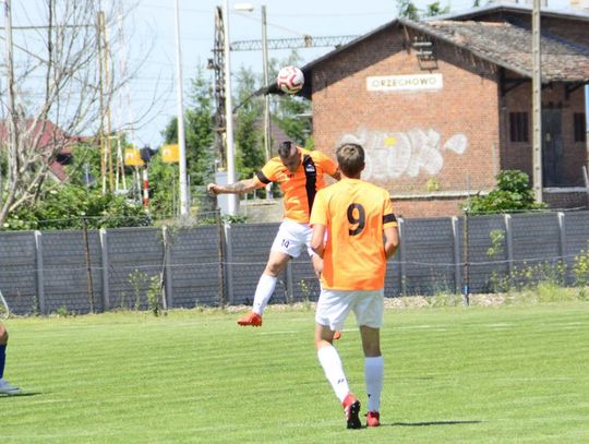 sparta-zryw-dabie-9-06-2019-12